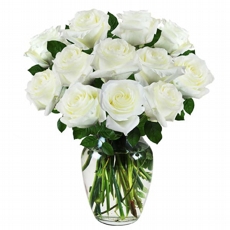 Arranjo de 15 Rosas Brancas Brisa