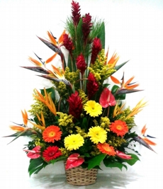 Arranjo de Flores Tropical Super Luxo