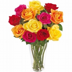 12 Rosas Colombianas Coloridas  no  Vaso
