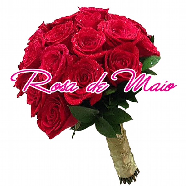 BUQU DE NOIVA FLORES NATURAIS ROSAS NACIONAIS VERMELHAS  (RM 711)