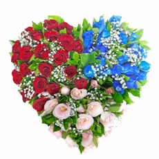 Maravilhoso Buque com 60 rosas coloridas e 3 cores diferentes