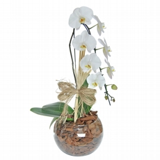 Lindissima Orquidea Cascata Branca Com Lao de Rafia