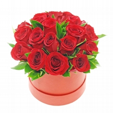 Coleo Especial  Rosas Vermelhas Com Amor Rosas Vermelhas  Caixa Vermelha