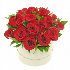 Coleo Especial Rosas Vermelhas Com Amor