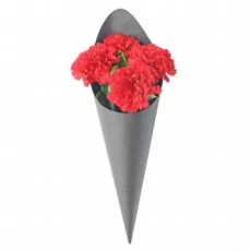 Arranjo Sofisticado Cone Black 4 Cravos Vermelhos