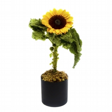 arranjo sunflower