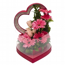 Corao de Grberas Cor de Rosa