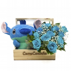 Cesta Stitch