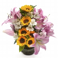 Encanto de Lrios Cor de Rosa com Girassis