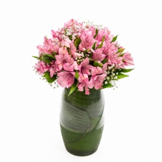 Arranjo Alegria de Astromelias Cor de Rosa
