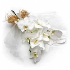 Buque de Orquideas Phaleanopsis Brancas