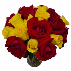 Buqu de Rosas Vermelhas e Amarelas no Vaso