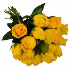 Rosas Amarelas