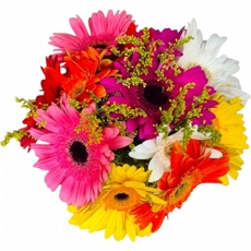 Buqu Gerberas Mistas