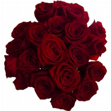 Buque Rosas Vermelhas Importadas Premium