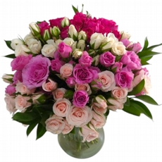 Suspiro de Rosas no Vaso