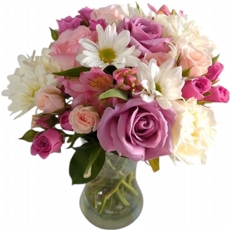 Jardim Rosado no Vaso
