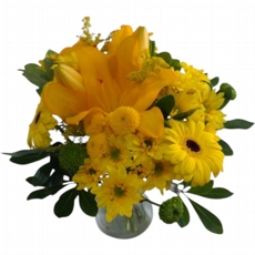 Campo Amarelo no Vaso
