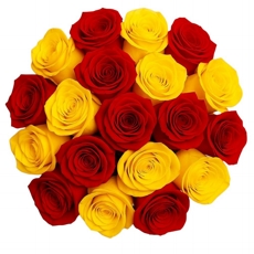 Buqu 24 Rosas Duas Cores V/A