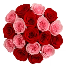 Buqu 24 Rosas Duas Cores V/P