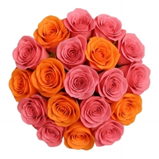 Buqu 24 Rosas Duas Cores R/L