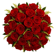 Clssico 24 Rosas Vermelhas