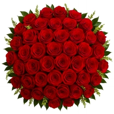 Clssico 36 Rosas Vermelhas