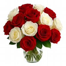 Rosas Duas Cores em Vaso V/B