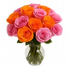 Rosas Duas Cores em Vaso V/L