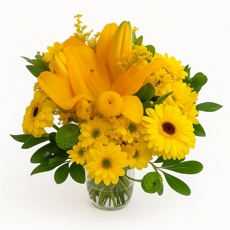 Campo Amarelo no Vaso