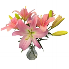 3 Lrios em Vaso / Rosa - Amarelo - Laranja - Branco