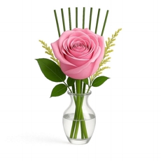 Nossa Rosa Rosa