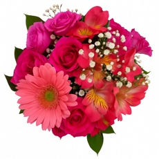 Campo Pink