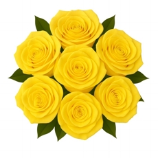 Buqu 7 Rosas Amarelas