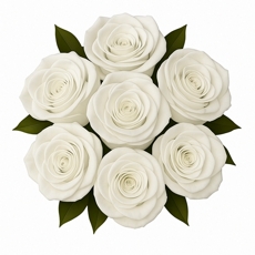 Buqu 7 Rosas Brancas