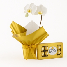Luxe Branca Ouro + Ferrero Rocher