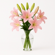 3 Lrios em Vaso / Rosa - Amarelo - Laranja - Branco