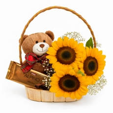 Cesta Urso e Girassois