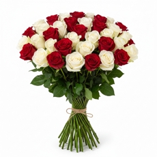 Buque 36 Rosas Duas Cores