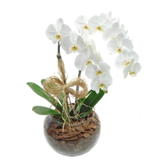 Orquidea Cascata Branca No Vaso De Vidro Com Duas Hastes