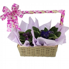 Cesta De Violetas Com  2 unidades