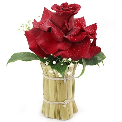 Uma rosa vermelha colombiana para alegrar o seu dia !